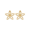 Boucles d'oreilles Esra